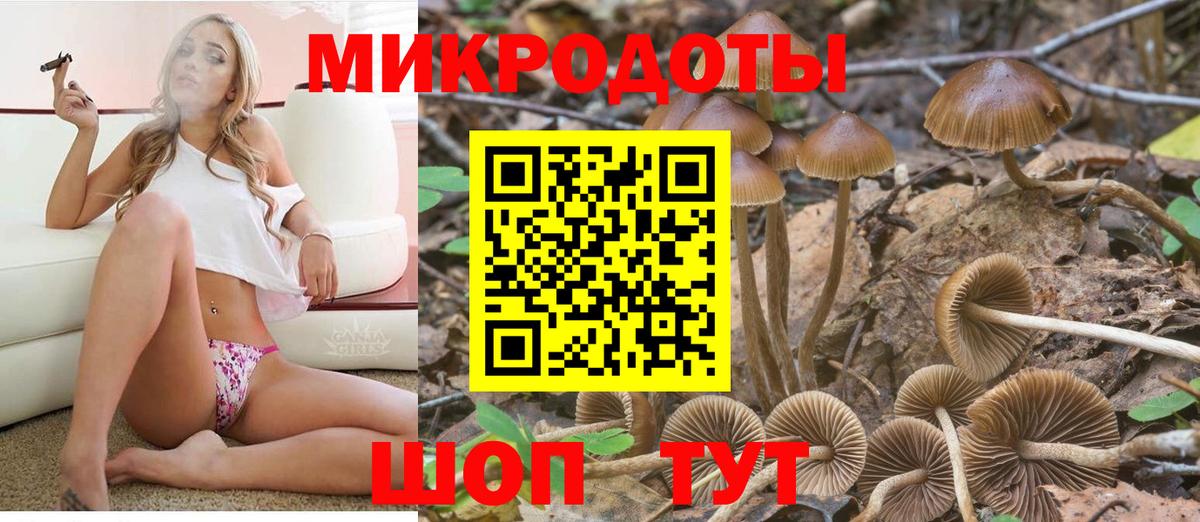 Галлюциногенные грибы прущие грибы Уссурийск