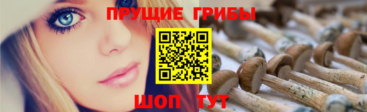 дарнет шоп  Псилоцибиновые грибы Psilocybine cubensis  Вход с VPN  Уссурийск 
